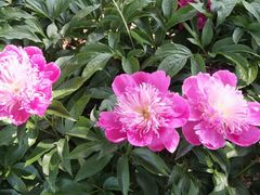 -长春公园(普阳街道)