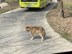 -西安秦岭野生动物园