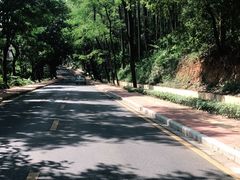 -南国桃园旅游度假区