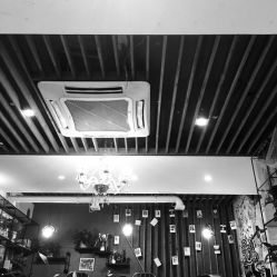 点击看大图 -MG Style Salon
