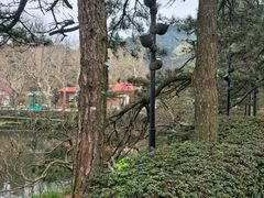 -庐山风景区花径公园