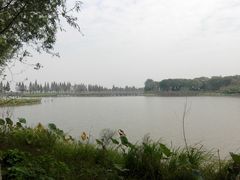 -洪湖生态旅游区