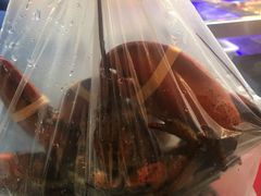 -盒马X会员店(王府井奥莱UP TOWN店)