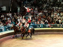 -俄罗斯国家大马戏团