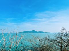 -海源公园