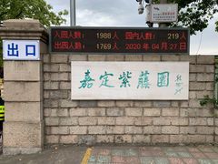 -嘉定紫藤园