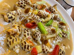 大花螺-阿杰潮汕海味餐馆·潮州鱼生·潮州生腌