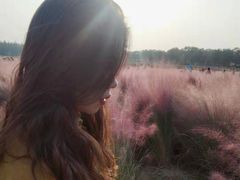 -艾溪湖湿地公园