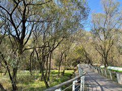 -西湖风景区-江洋畈生态公园