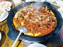 -渔小贰 稻田蛙·鱼火锅