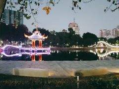 -金砂公园
