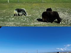 -青海湖国家重点风景名胜区