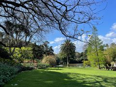 -墨尔本皇家植物园