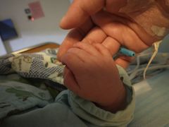 -杭州市第一人民医院(湖滨院区)