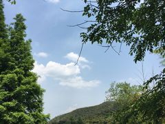-山沟沟景区