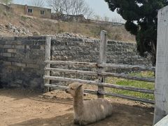 -清风小镇闯关东影视基地