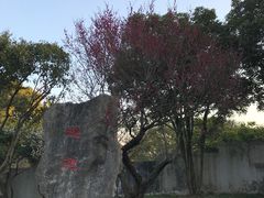 -无锡梅园公园