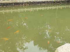 -中山市树木园