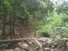 -火炉山森林公园