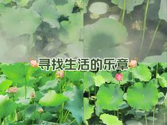 -黄兴公园
