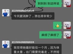 -伟伟宠物医院·CT影像中心·瑞派犬猫综合性门诊(汉口总院)