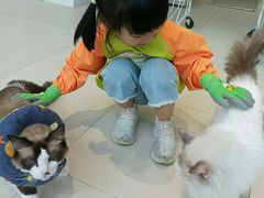 -怪兽屋·羊驼·猫咖·狗咖(俊华广场店)