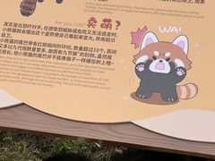 -灵玲国际马戏城