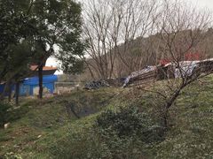 -太子山公园(园东路)