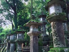 -奈良公园