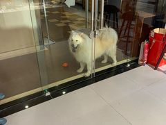 -肆兮眼镜·蔡司·徕卡战略合作店(大坪店)