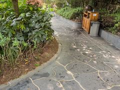 -腾冲洞山温泉村