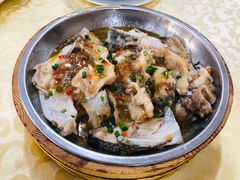 -客家王车田豆腐坊(翻身店)
