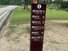 -奈良公园