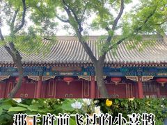 -北京第二实验小学