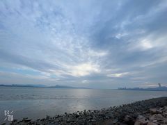 -深圳湾公园(南山区)