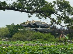 -江心屿景区