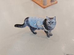 -共舞时光猫咖·狗咖(新街口店)