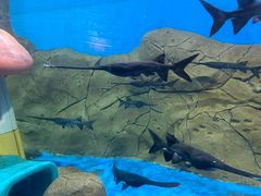 -梦幻海洋王国(吾悦广场张家港店)