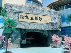 -芜湖新华联大白鲸海洋公园