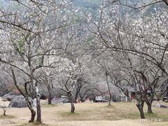-广东天露山旅游度假区