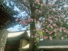 -水浒好汉城