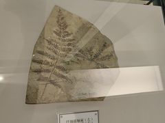 -辽宁古生物博物馆