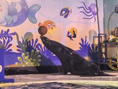 -太平洋海底世界