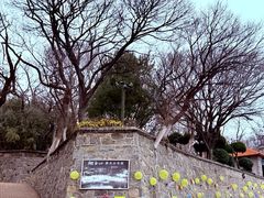 -烟台山景区