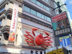 -蟹道乐(道顿堀本店)