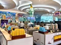 -帝企鹅自助餐厅•儿童岛•真企鹅(长隆企鹅酒店)