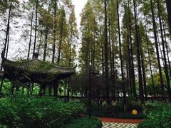 -瀛洲公园