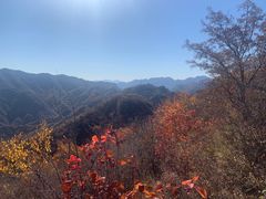 -大岭沟猕猴桃谷风景区