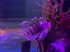 -沈阳海洋探索中心