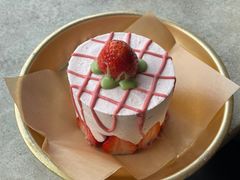 -野草莓自由市场